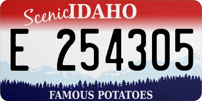 ID license plate E254305