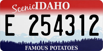ID license plate E254312