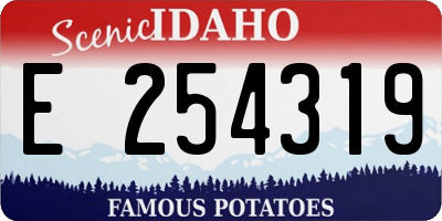 ID license plate E254319