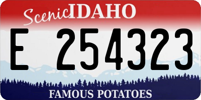 ID license plate E254323