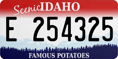 ID license plate E254325