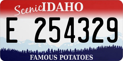 ID license plate E254329
