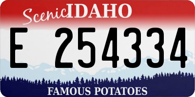 ID license plate E254334