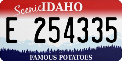 ID license plate E254335