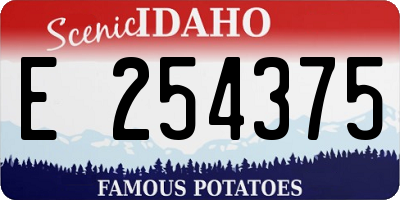 ID license plate E254375