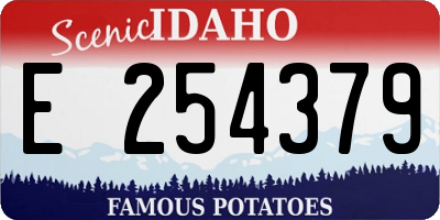 ID license plate E254379