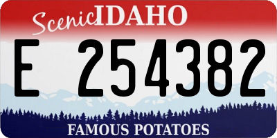 ID license plate E254382
