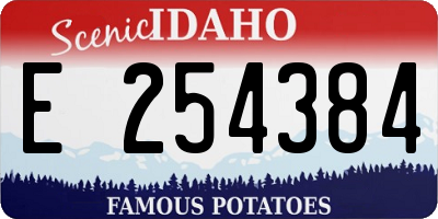 ID license plate E254384