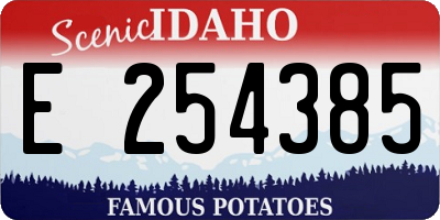 ID license plate E254385