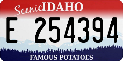 ID license plate E254394