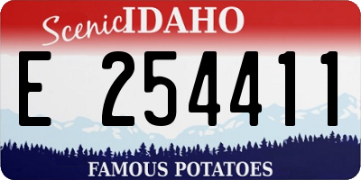 ID license plate E254411