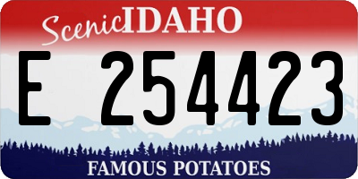 ID license plate E254423
