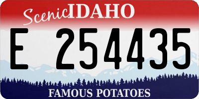 ID license plate E254435