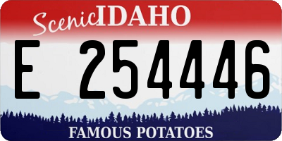 ID license plate E254446