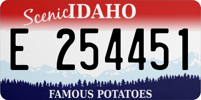 ID license plate E254451