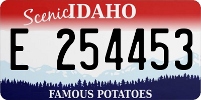 ID license plate E254453
