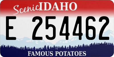 ID license plate E254462