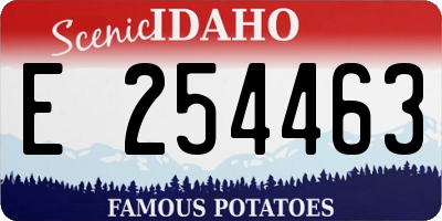 ID license plate E254463