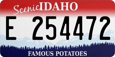 ID license plate E254472