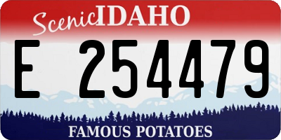 ID license plate E254479