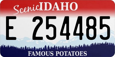 ID license plate E254485
