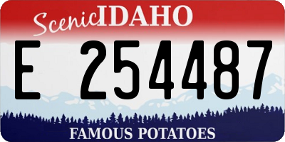 ID license plate E254487
