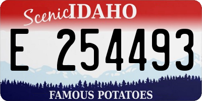 ID license plate E254493