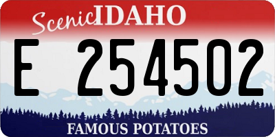 ID license plate E254502