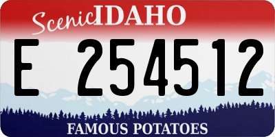 ID license plate E254512