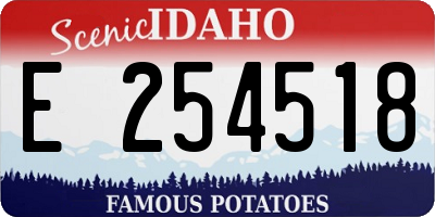 ID license plate E254518