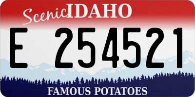 ID license plate E254521