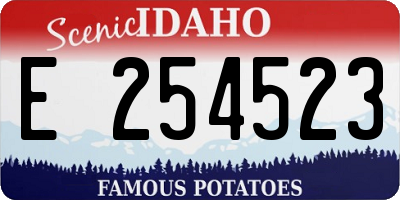 ID license plate E254523