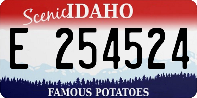 ID license plate E254524