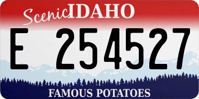 ID license plate E254527