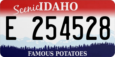 ID license plate E254528