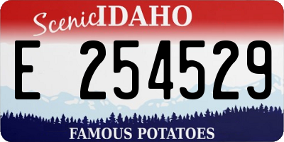 ID license plate E254529