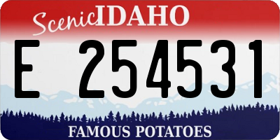 ID license plate E254531