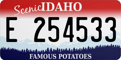 ID license plate E254533