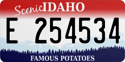 ID license plate E254534
