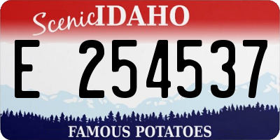 ID license plate E254537