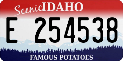 ID license plate E254538