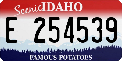 ID license plate E254539