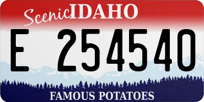 ID license plate E254540