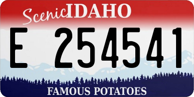 ID license plate E254541