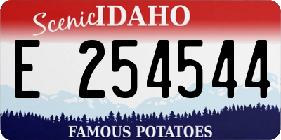 ID license plate E254544