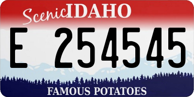 ID license plate E254545