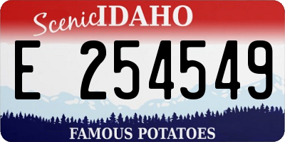 ID license plate E254549