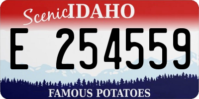 ID license plate E254559