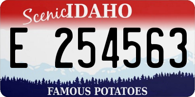 ID license plate E254563