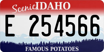 ID license plate E254566